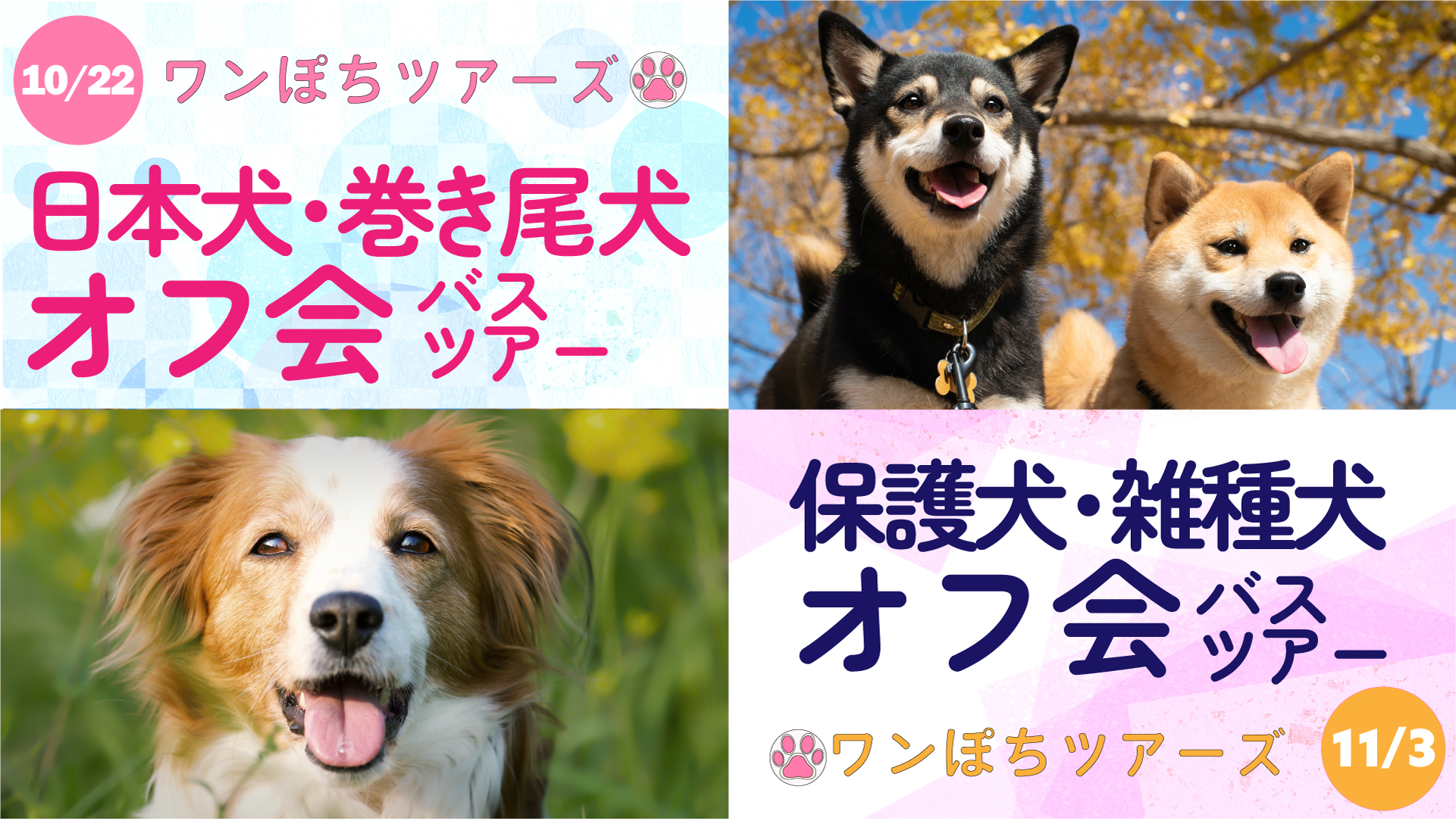 ワンちゃんが主役のペットツアー ワンぽちツアーズ 房総マザー牧場などを巡る 犬種限定オフ会バスツアーの開催決定 9月7日より予約受付開始 ｋｍモビリティサービスからのお知らせ